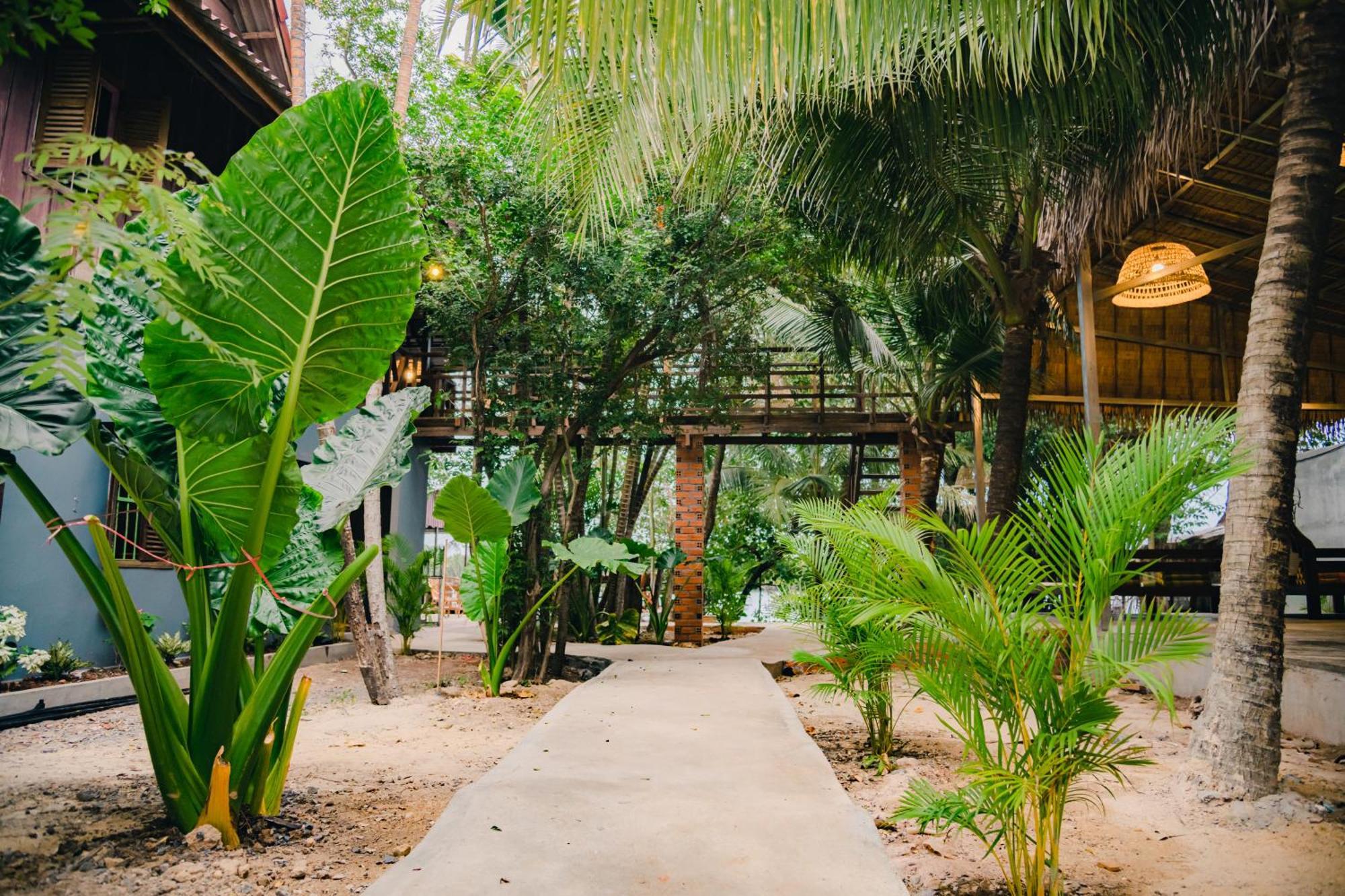 Banyan Tree Hostel กำปอต ภายนอก รูปภาพ
