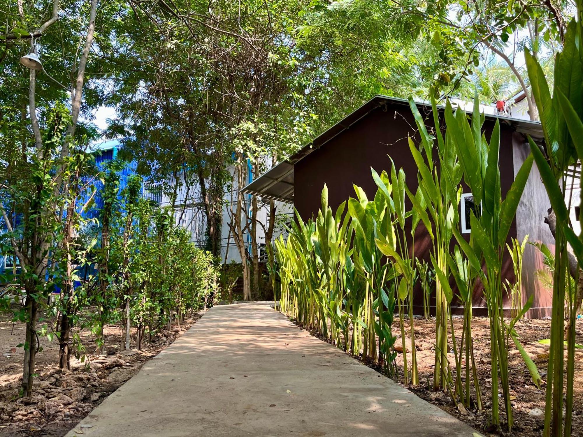 Banyan Tree Hostel กำปอต ภายนอก รูปภาพ
