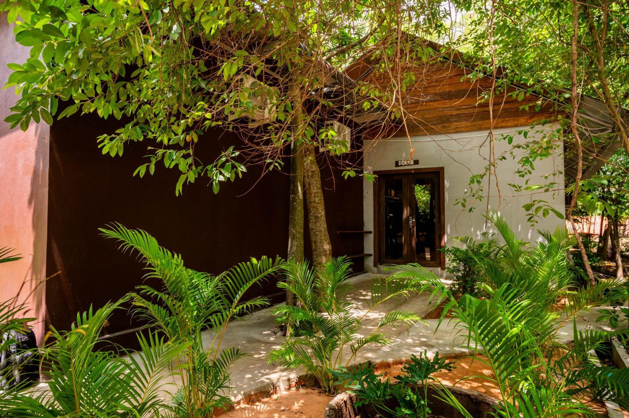 Banyan Tree Hostel กำปอต ภายนอก รูปภาพ