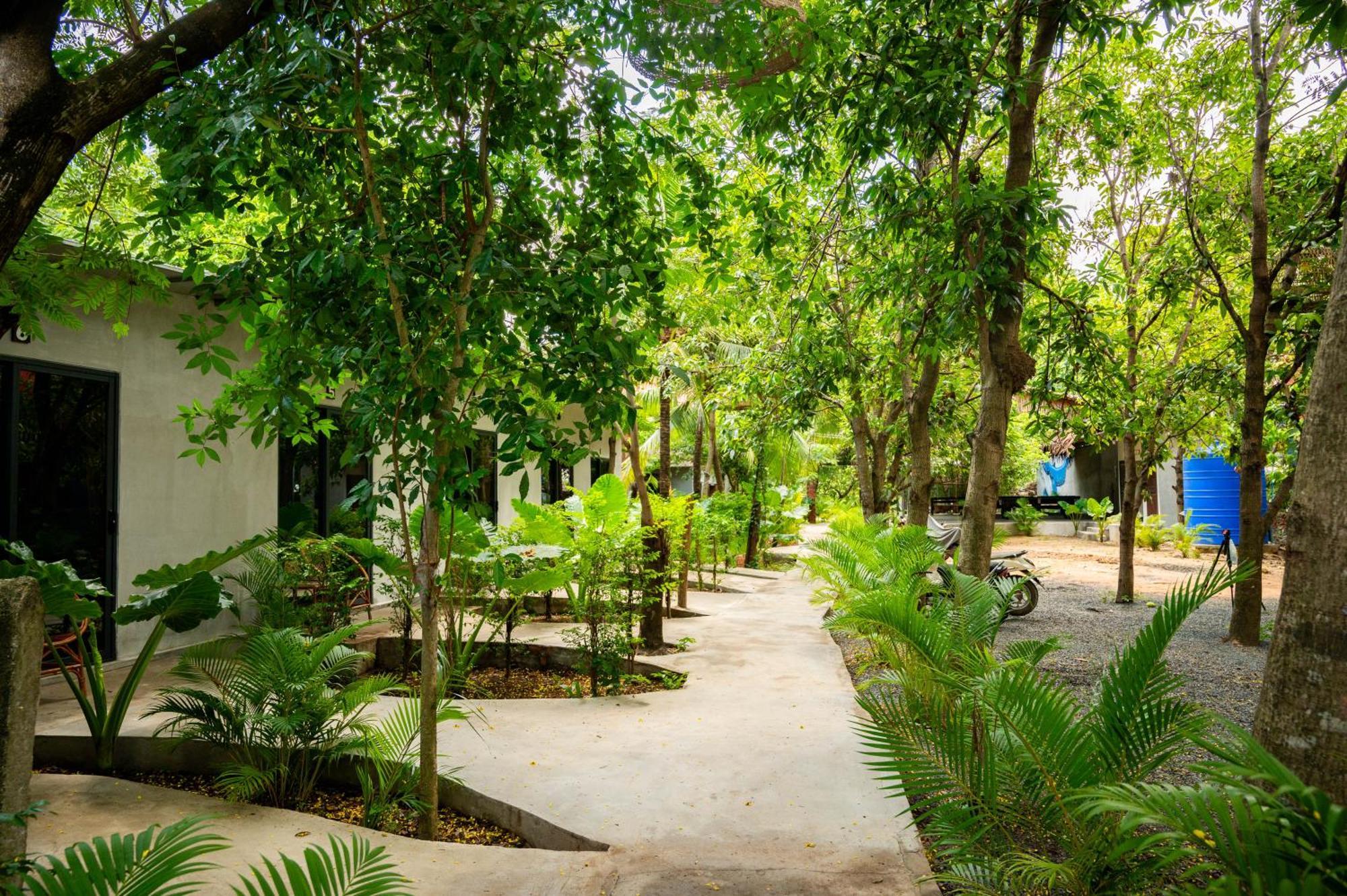 Banyan Tree Hostel กำปอต ภายนอก รูปภาพ