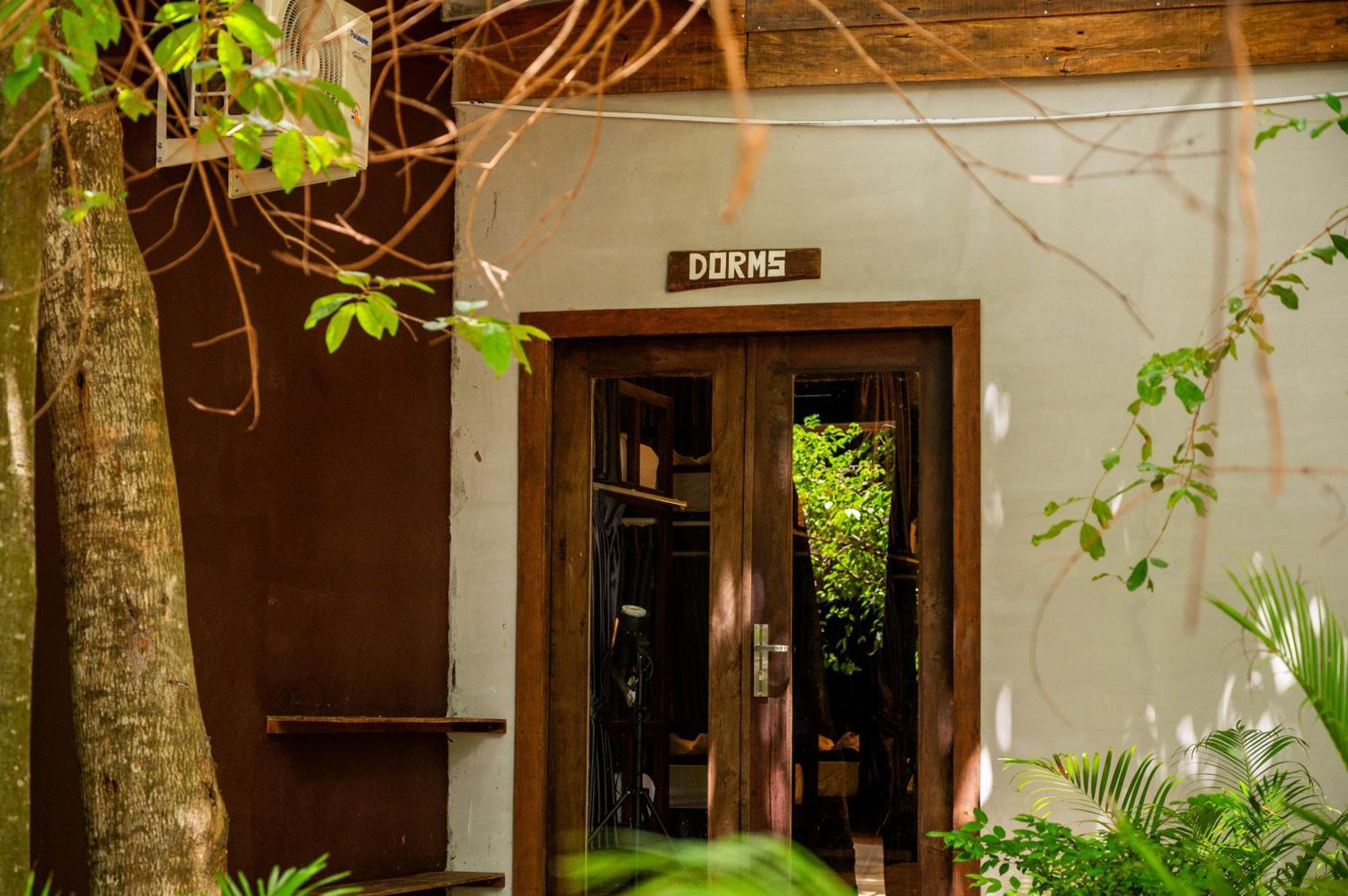 Banyan Tree Hostel กำปอต ภายนอก รูปภาพ