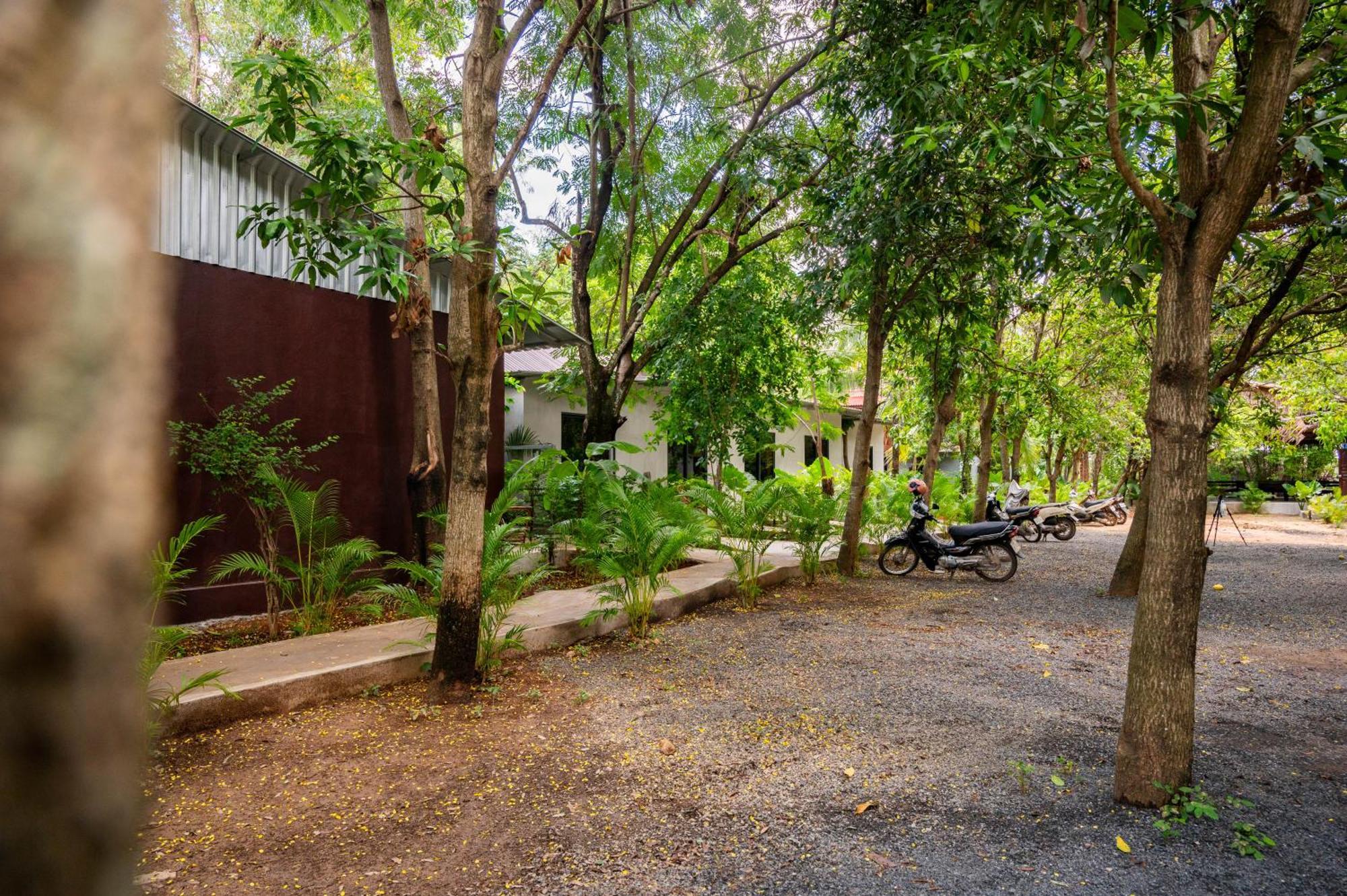 Banyan Tree Hostel กำปอต ภายนอก รูปภาพ