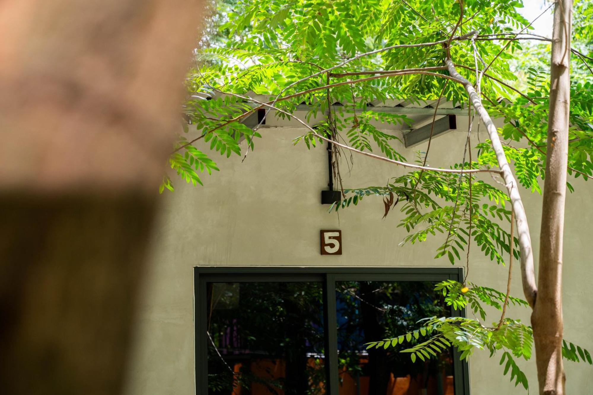 Banyan Tree Hostel กำปอต ภายนอก รูปภาพ