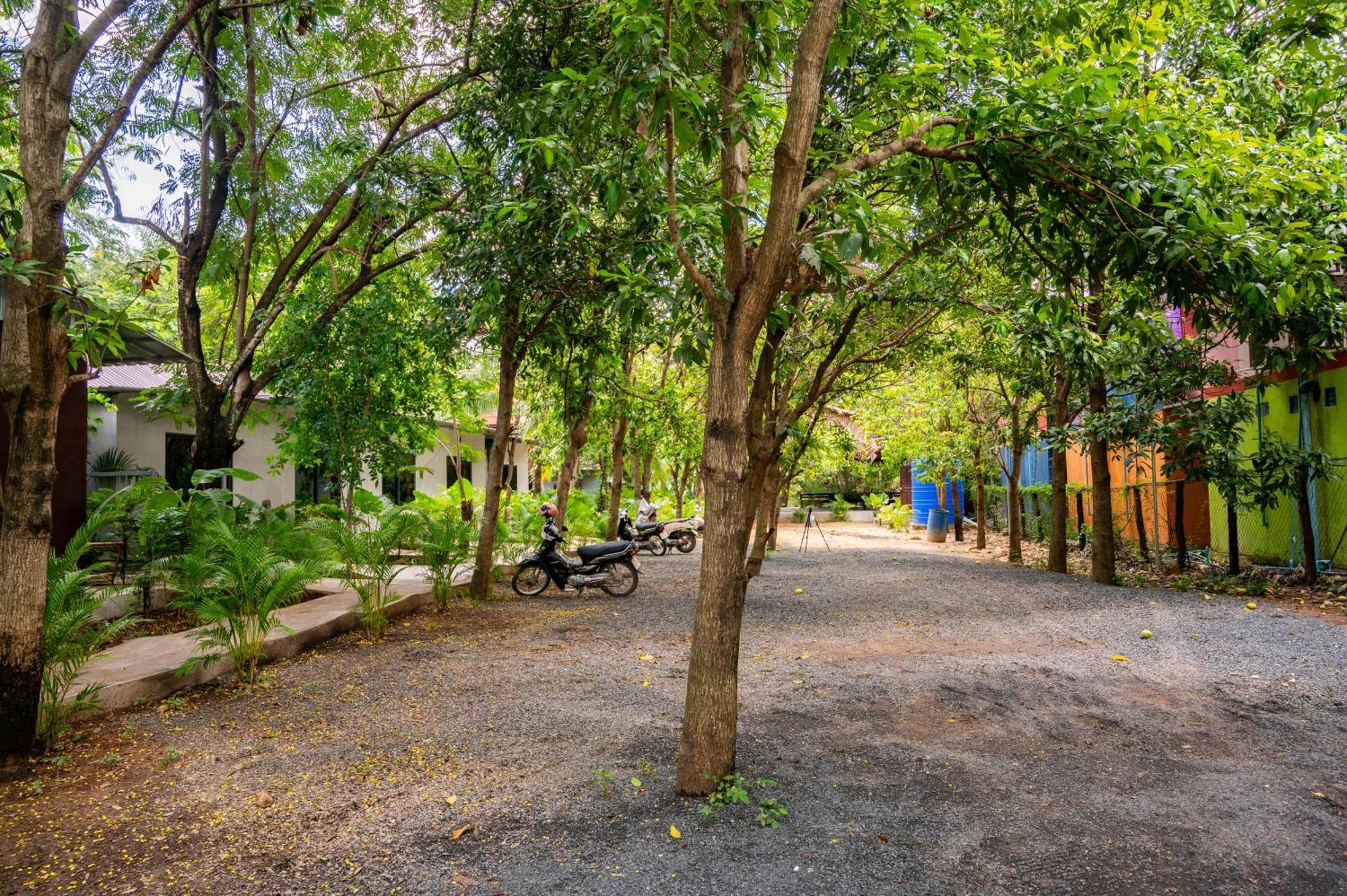Banyan Tree Hostel กำปอต ภายนอก รูปภาพ