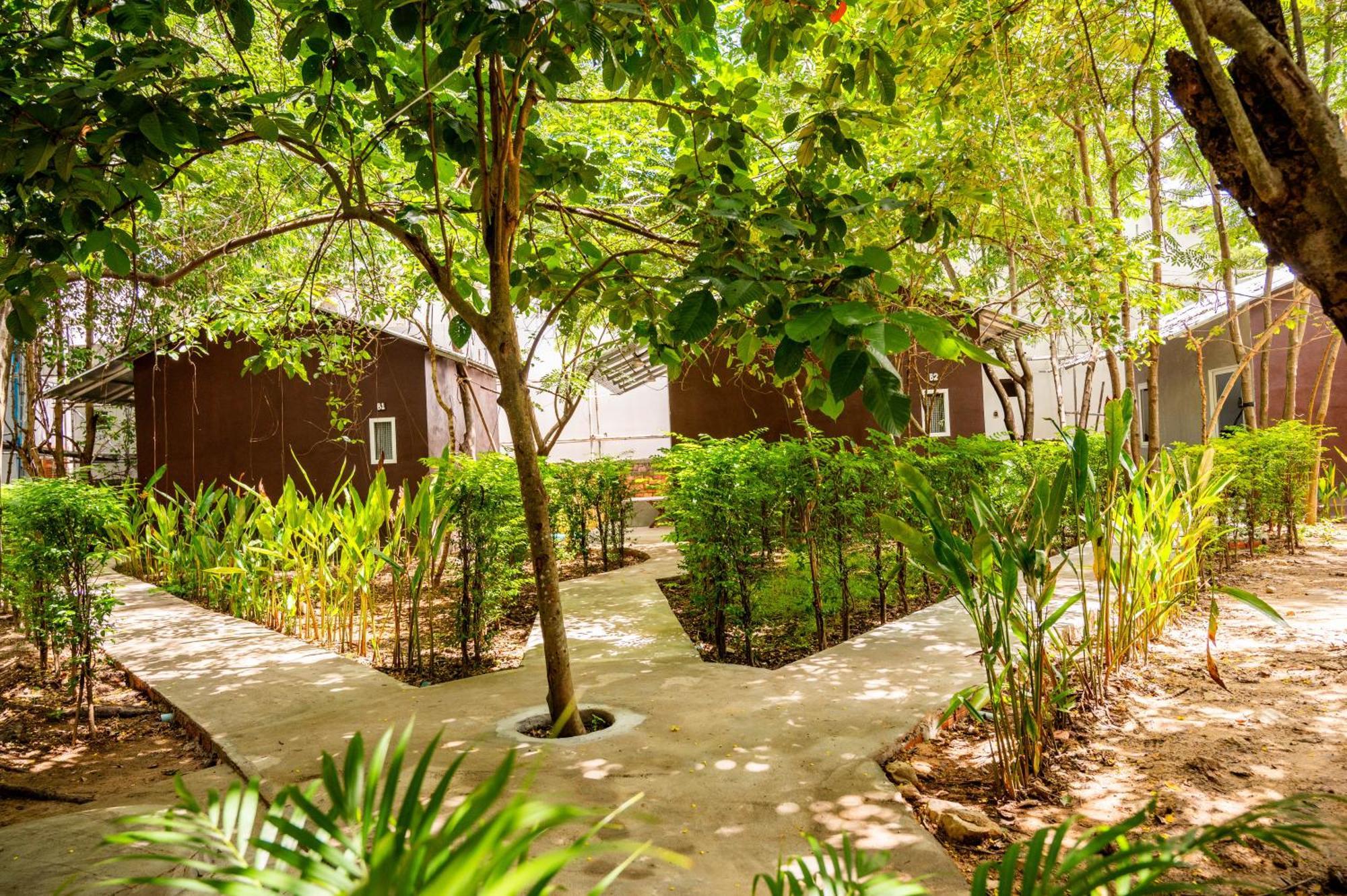 Banyan Tree Hostel กำปอต ภายนอก รูปภาพ