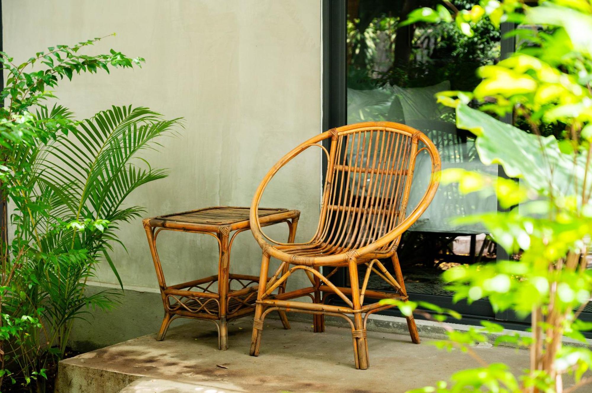 Banyan Tree Hostel กำปอต ภายนอก รูปภาพ