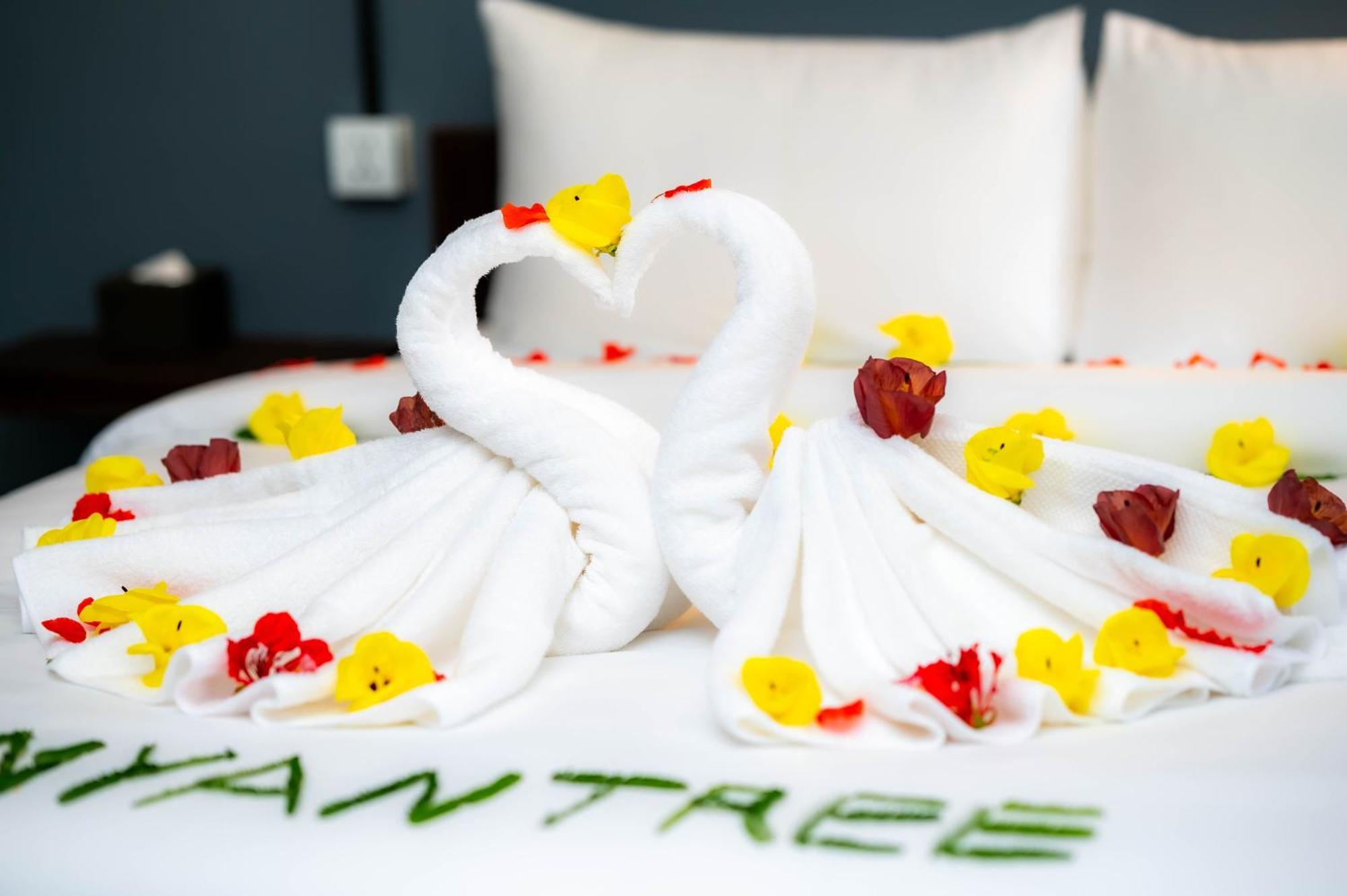 Banyan Tree Hostel กำปอต ภายนอก รูปภาพ