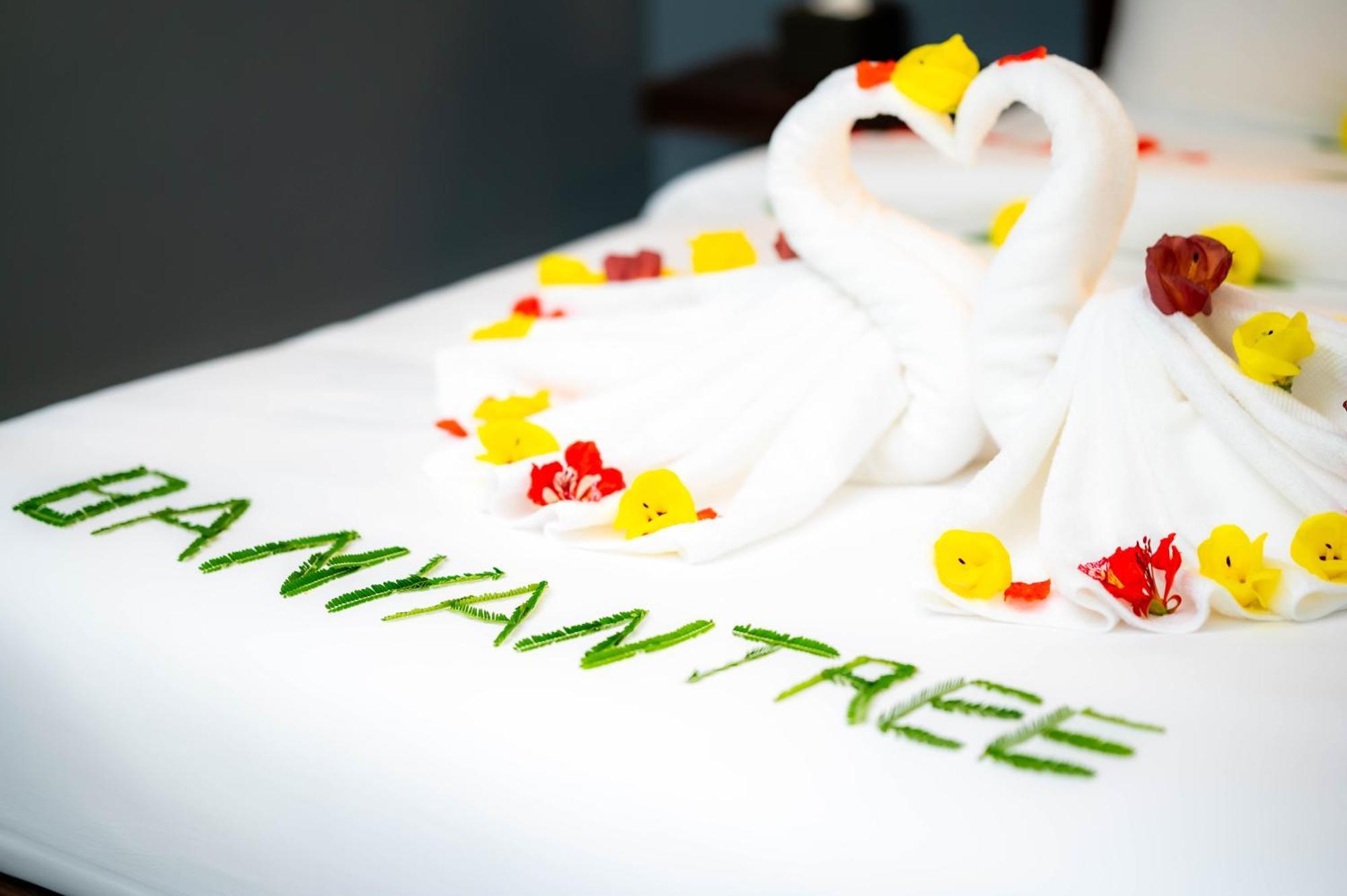 Banyan Tree Hostel กำปอต ภายนอก รูปภาพ