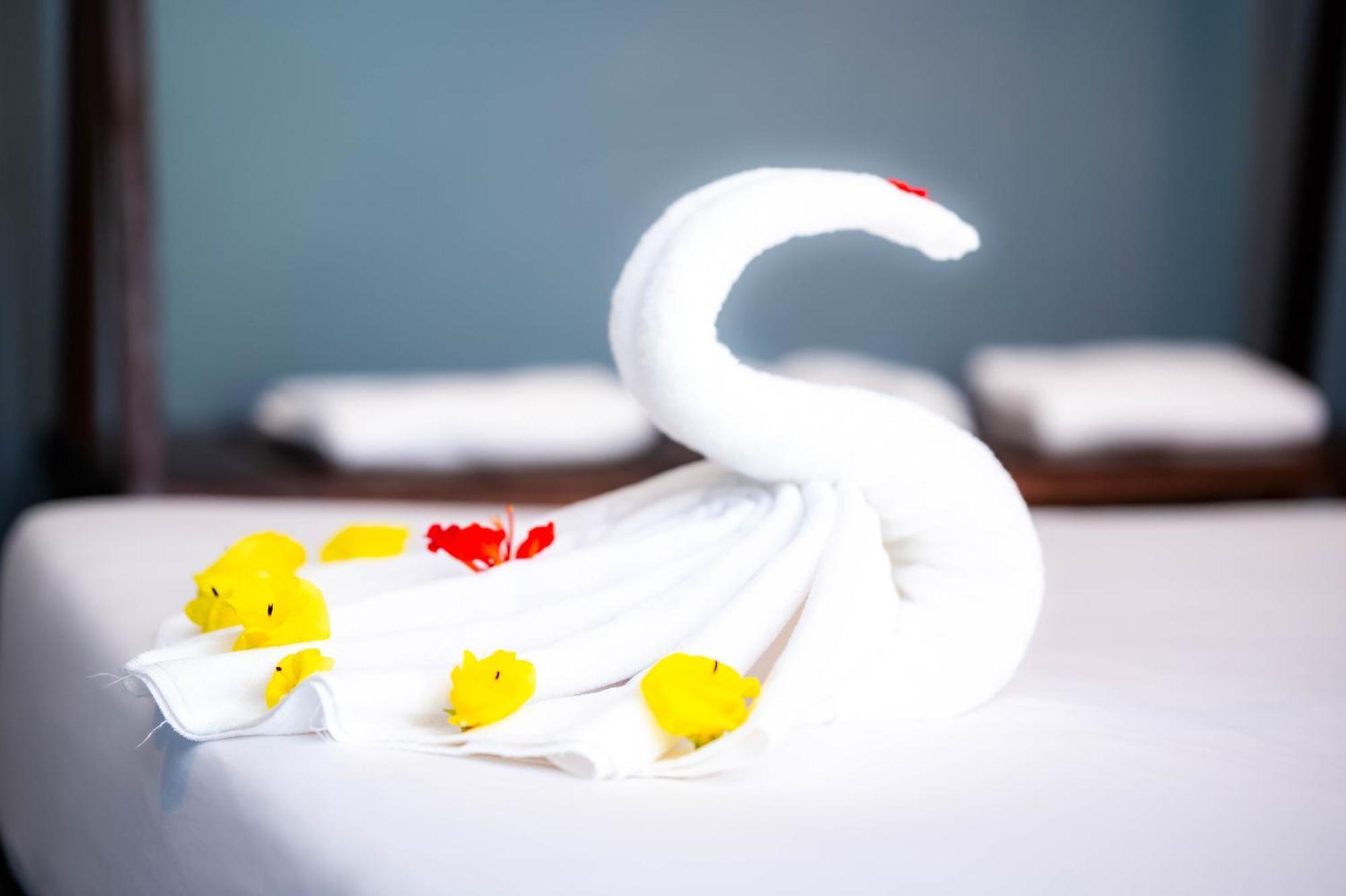 Banyan Tree Hostel กำปอต ภายนอก รูปภาพ