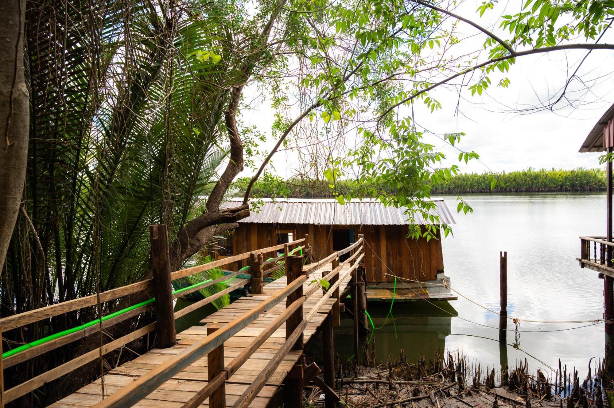 Banyan Tree Hostel กำปอต ภายนอก รูปภาพ